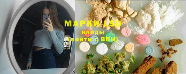 ПСИЛОЦИБИНОВЫЕ ГРИБЫ Алзамай